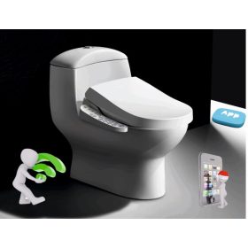 Japán stílusú bidés wc-ülőke Luxe Bronze Connect